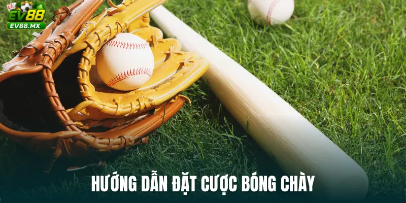 Hướng dẫn đặt cược bóng chày
