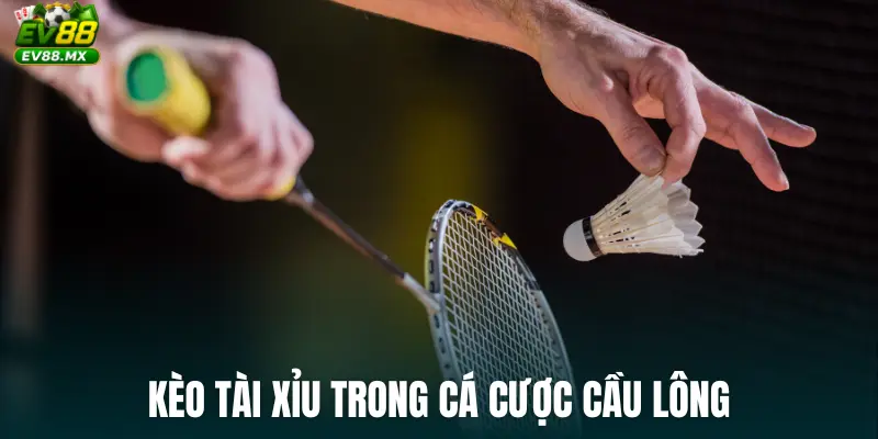 Kèo Tài Xỉu trong cá cược cầu lông