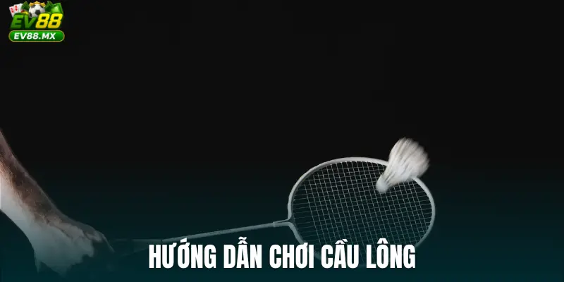 Hướng dẫn chơi cầu lông