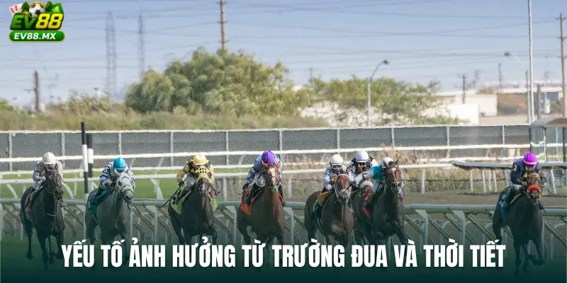 Yếu tố ảnh hưởng từ trường đua và thời tiết