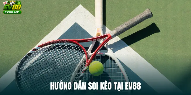 Hướng dẫn soi kèo tại EV88