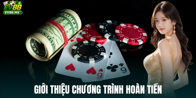 Giới thiệu Chương Trình Hoàn Tiền
