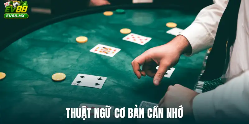Thuật ngữ cơ bản cần nhớ