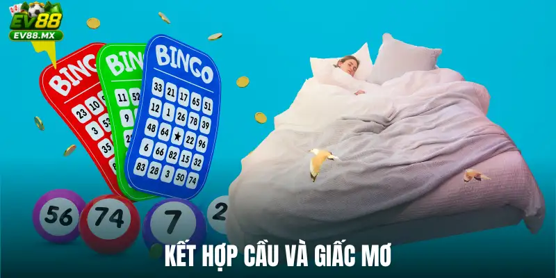 Kết hợp cầu và giấc mơ