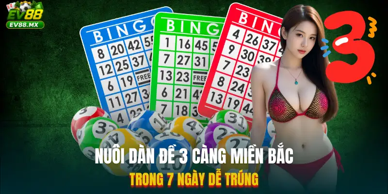 Dàn Đề 3 Càng Miền Bắc